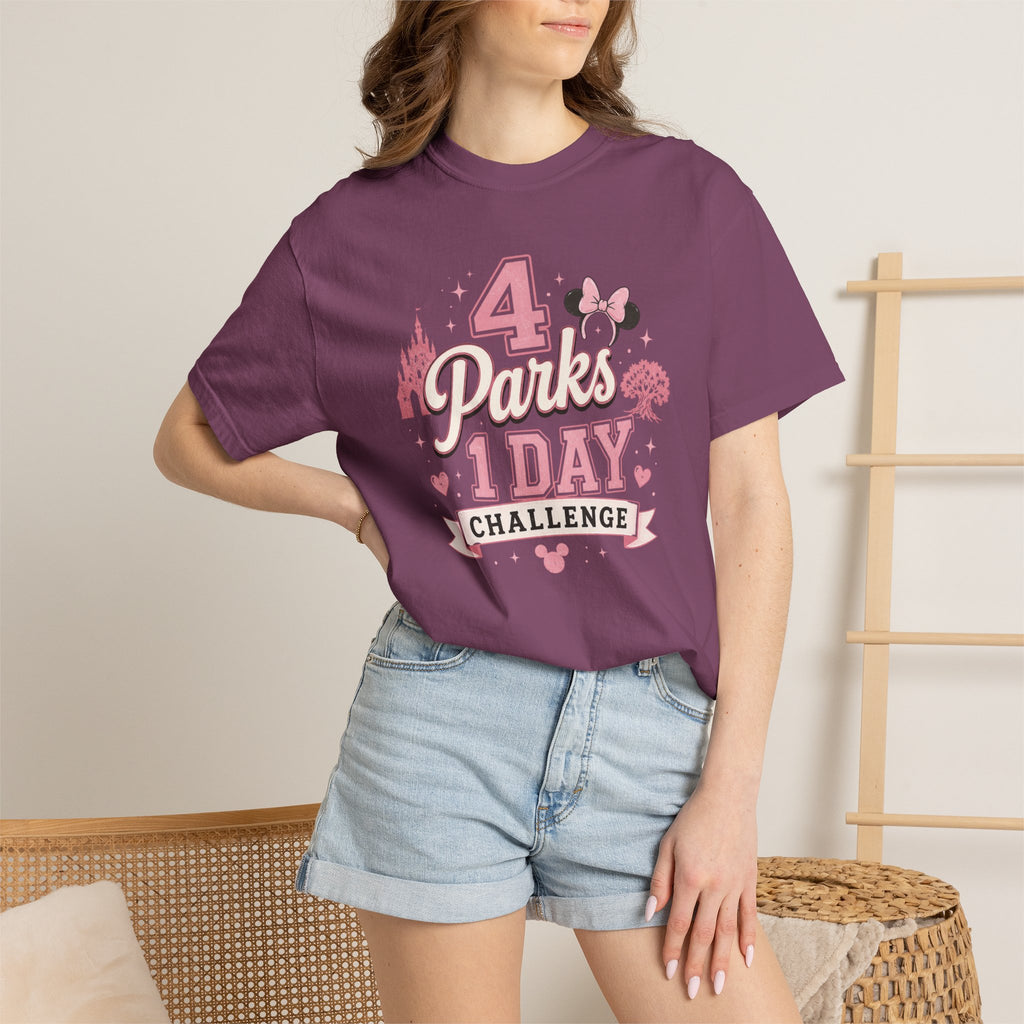 4 Parks 1 Day Challenge T-Shirt