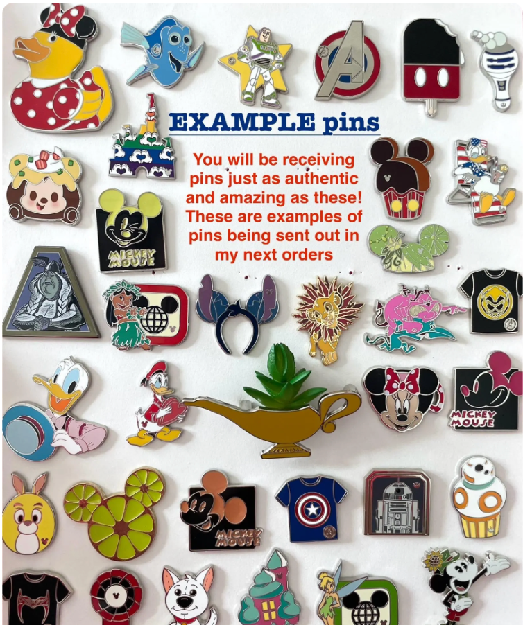 Disney pin trading board + pin(s)